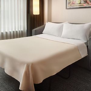 One-Bedroom King Suite